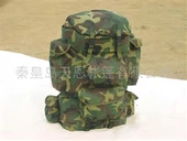 Militè sakado multifonksyonèl